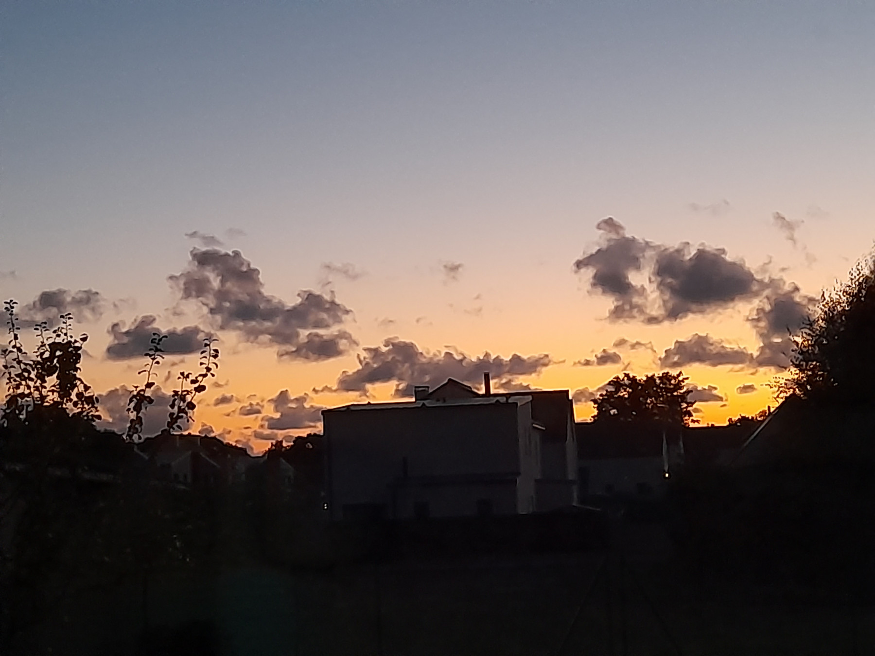 20250809_220449.jpg