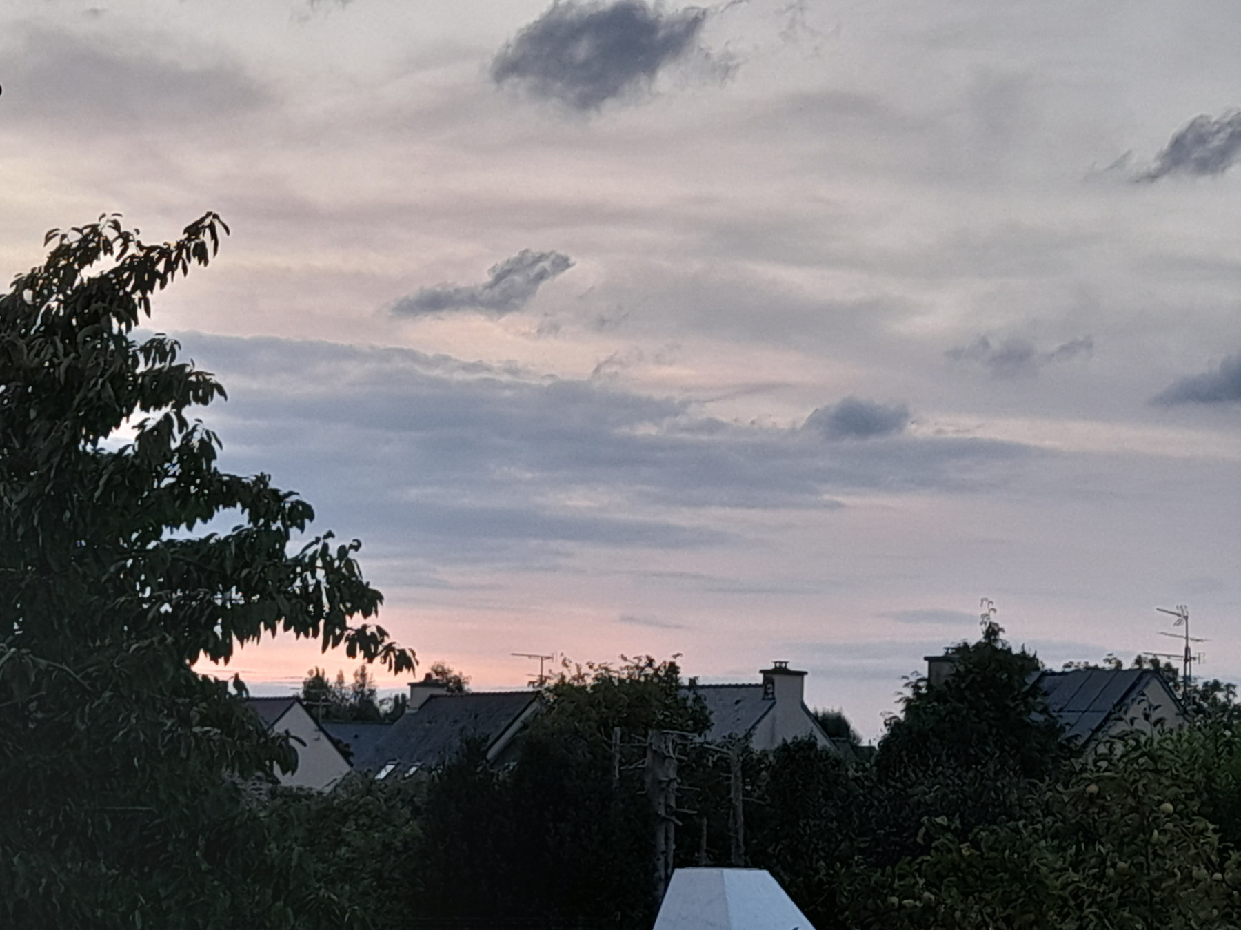 20250821_211131.jpg