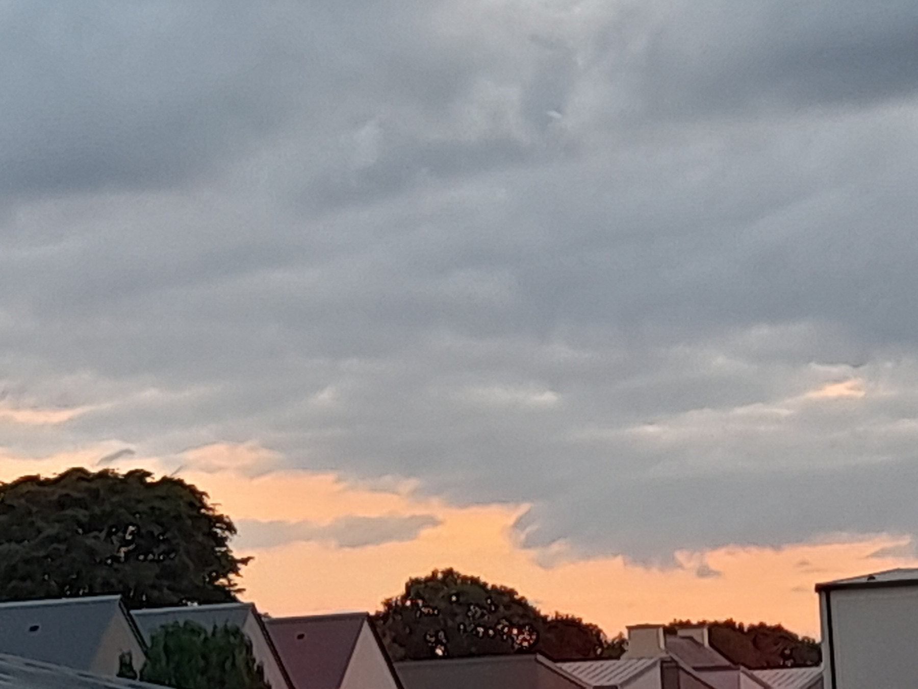 20250821_210843.jpg