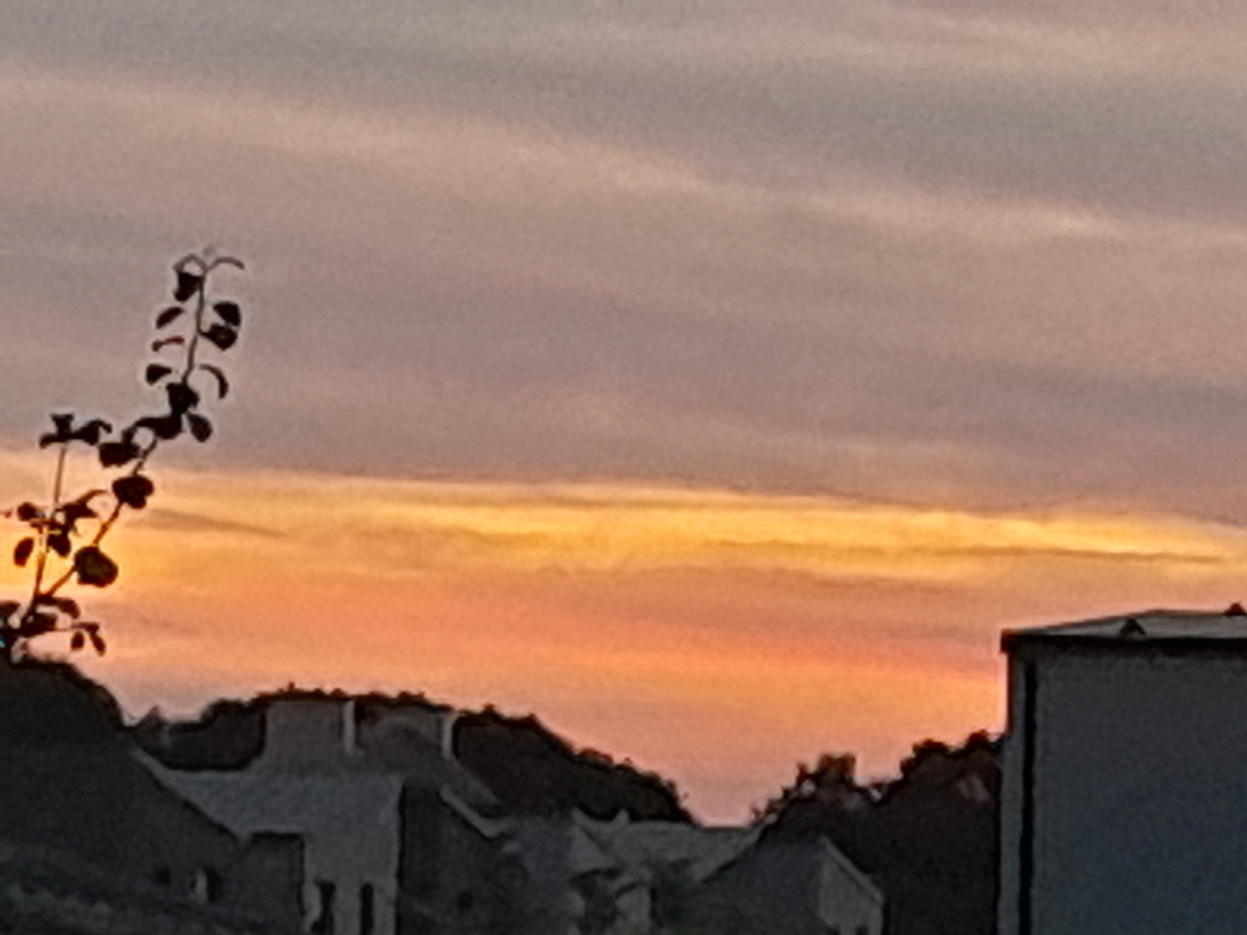 20250823_212532.jpg