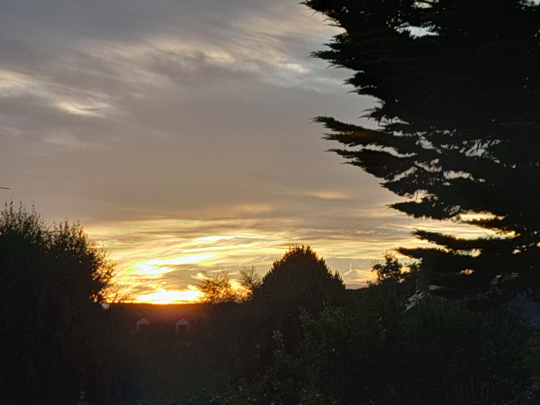 20250826_072742.jpg