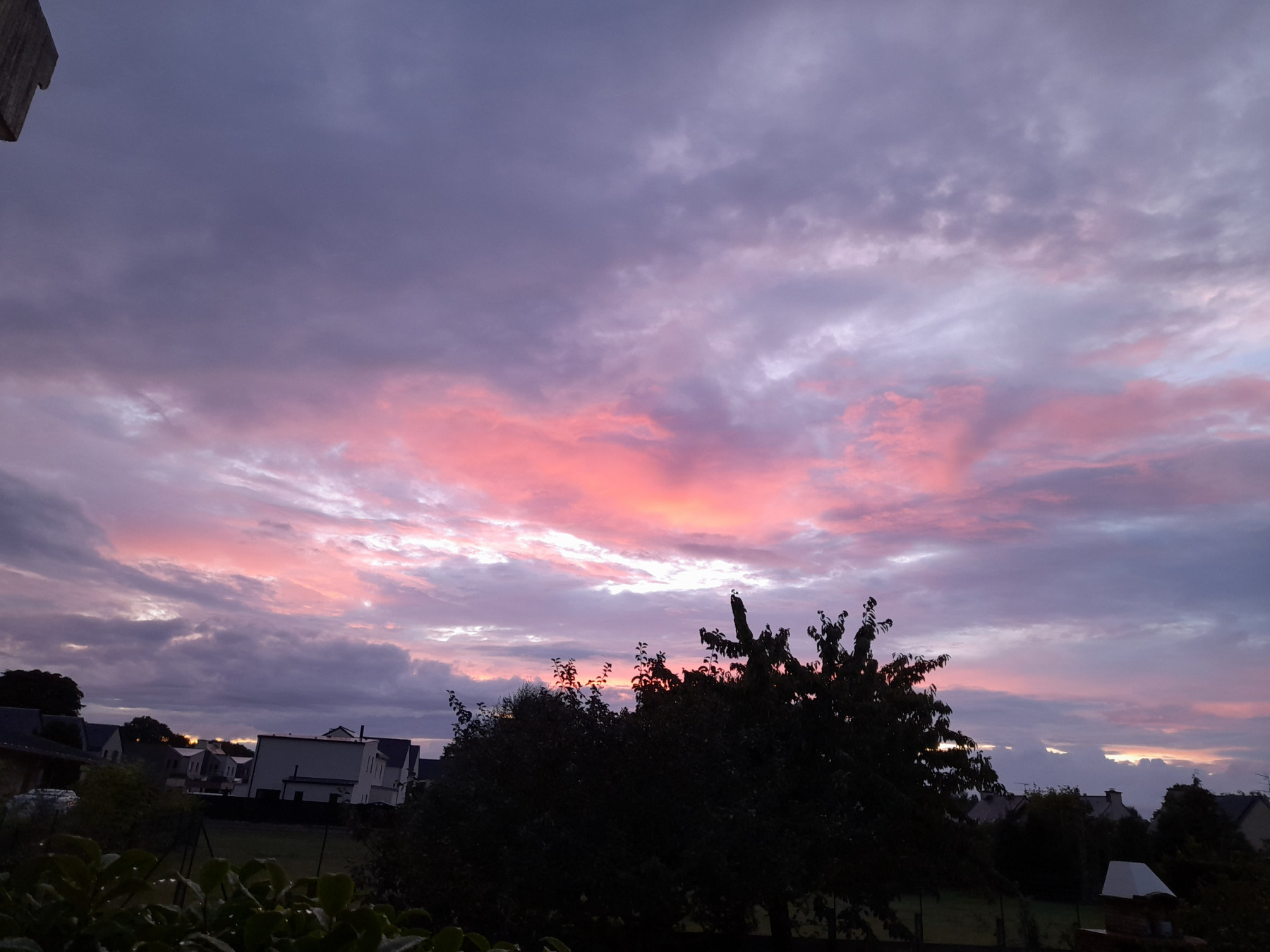 20250827_210633.jpg