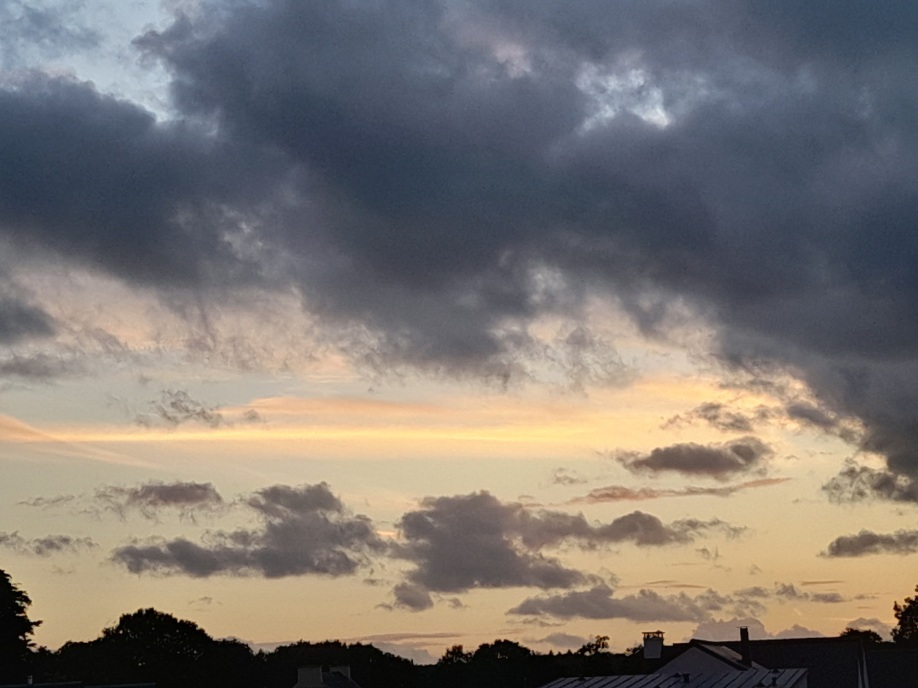 20250829_205825.jpg
