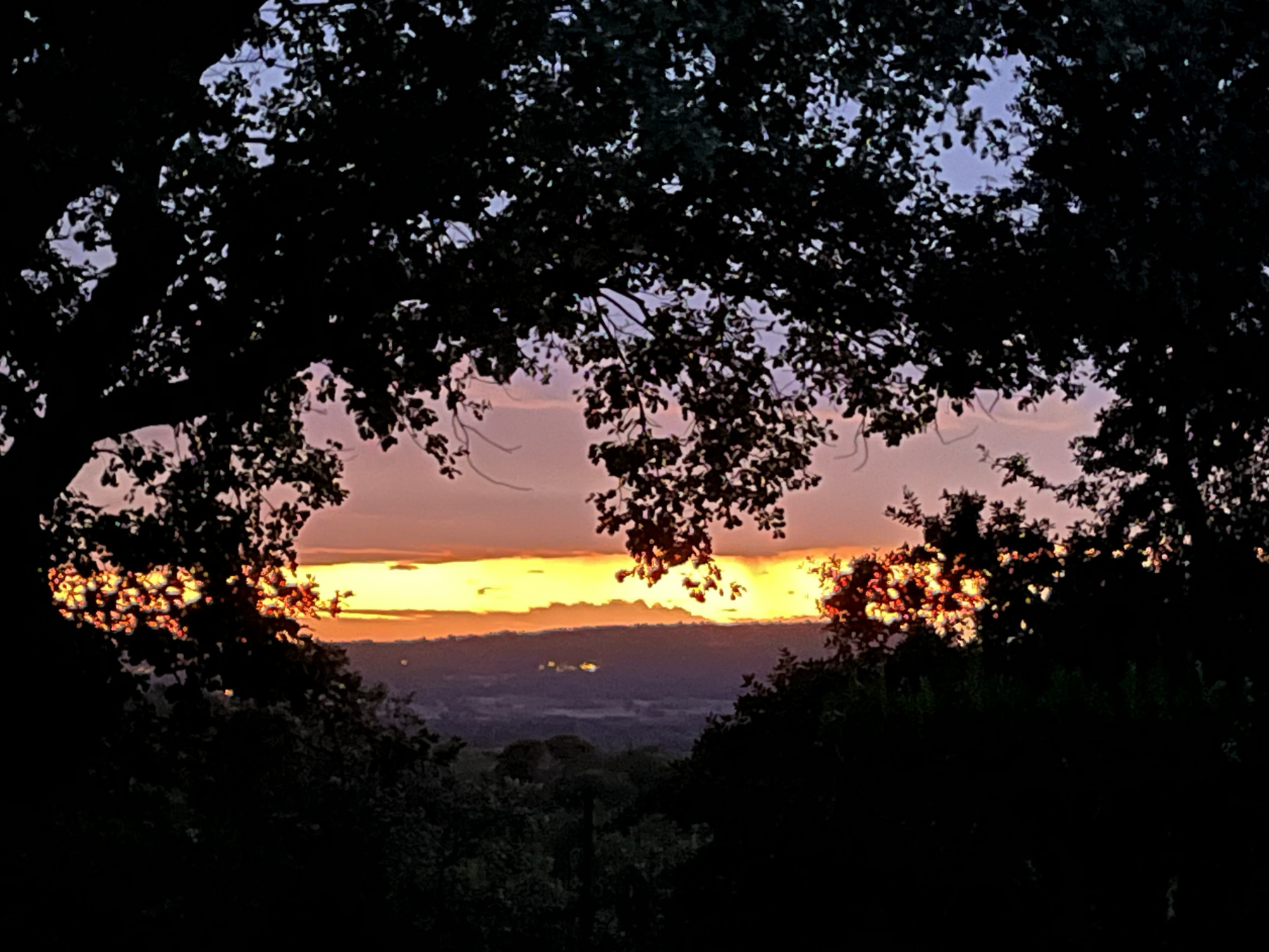 IMG_4905.jpeg