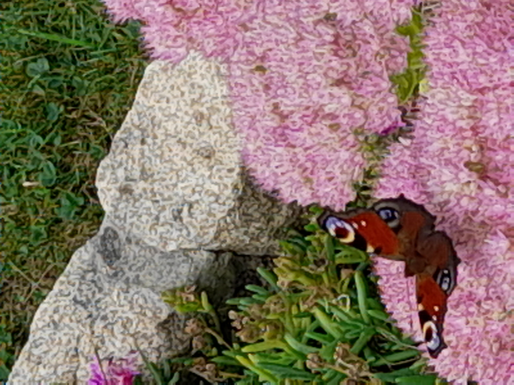 20250826_141929.jpg