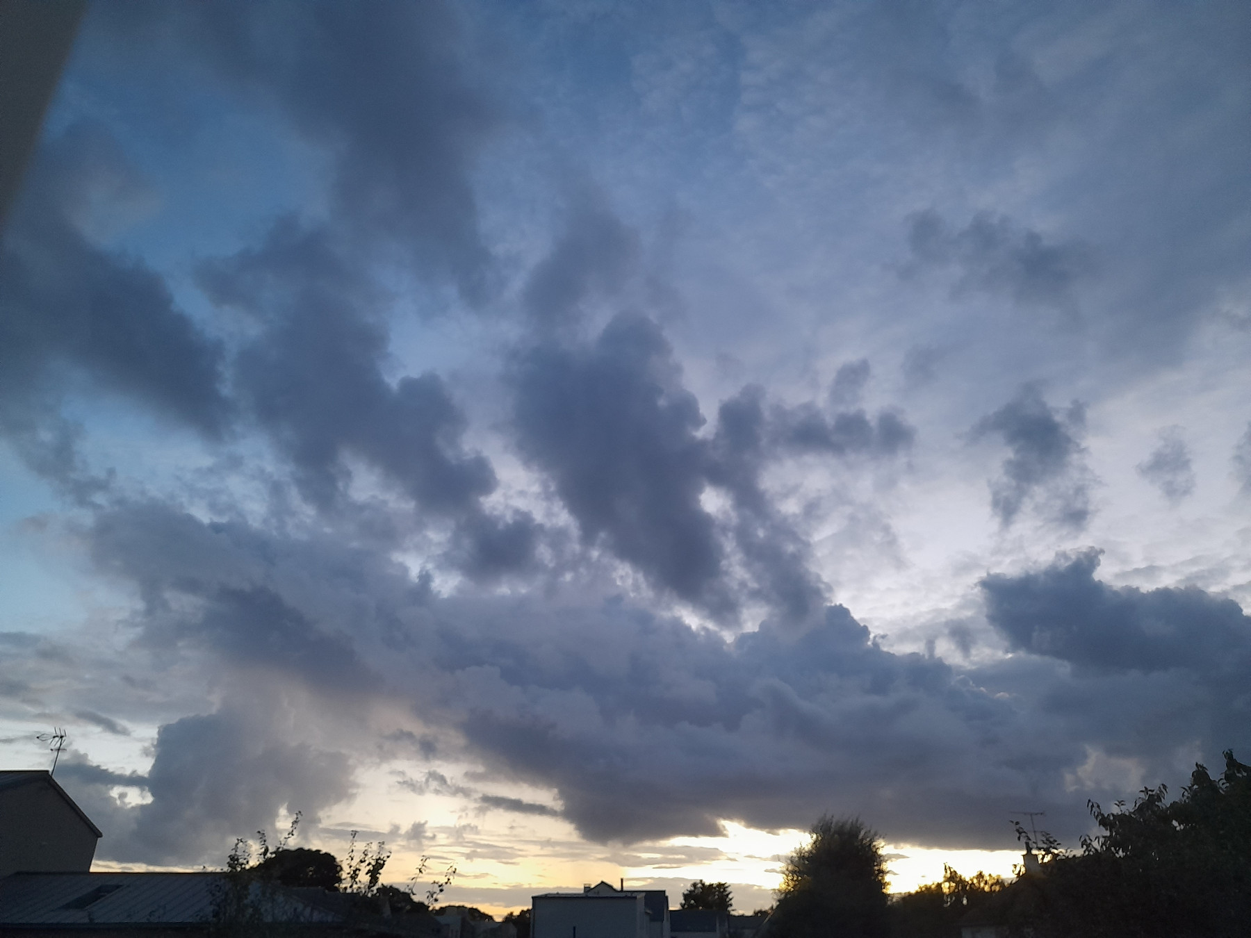 20250901_210747.jpg