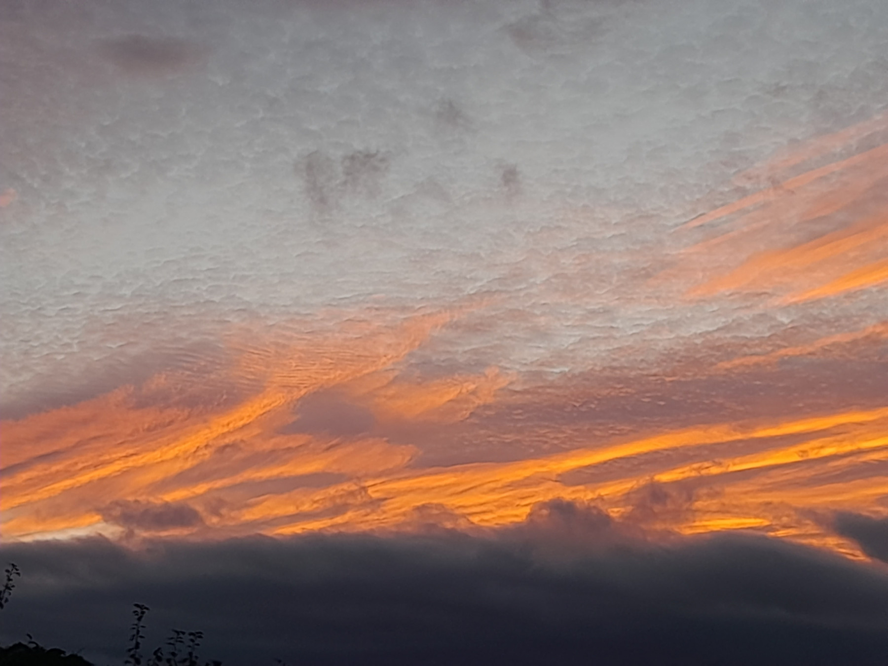 20250914_203046.jpg