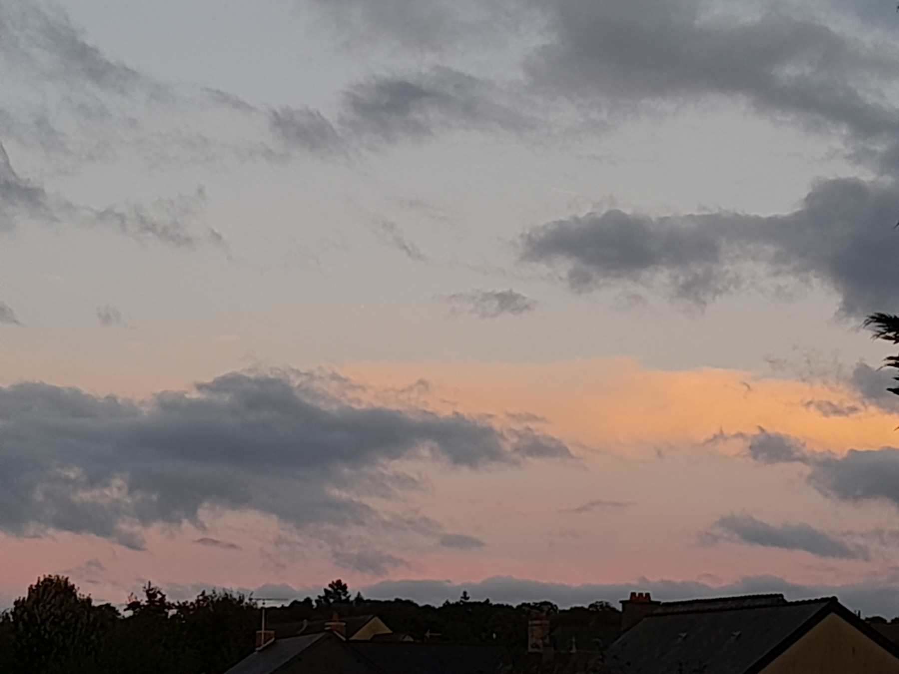 20250920_200951.jpg