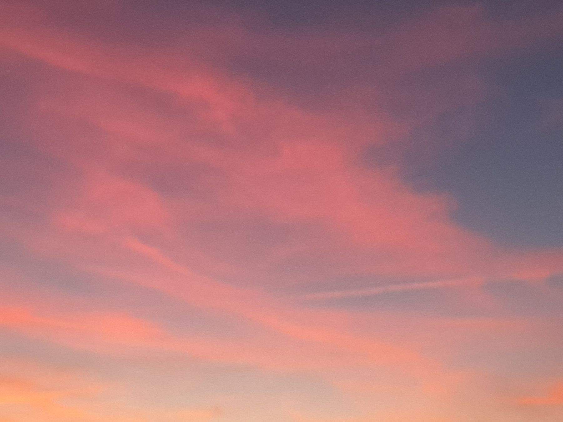 20251007_195245.jpg
