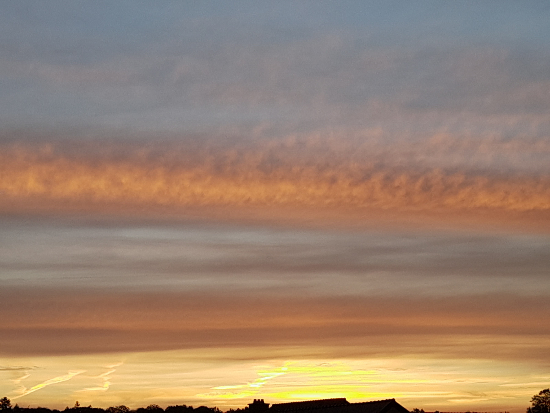 20251018_082902.jpg