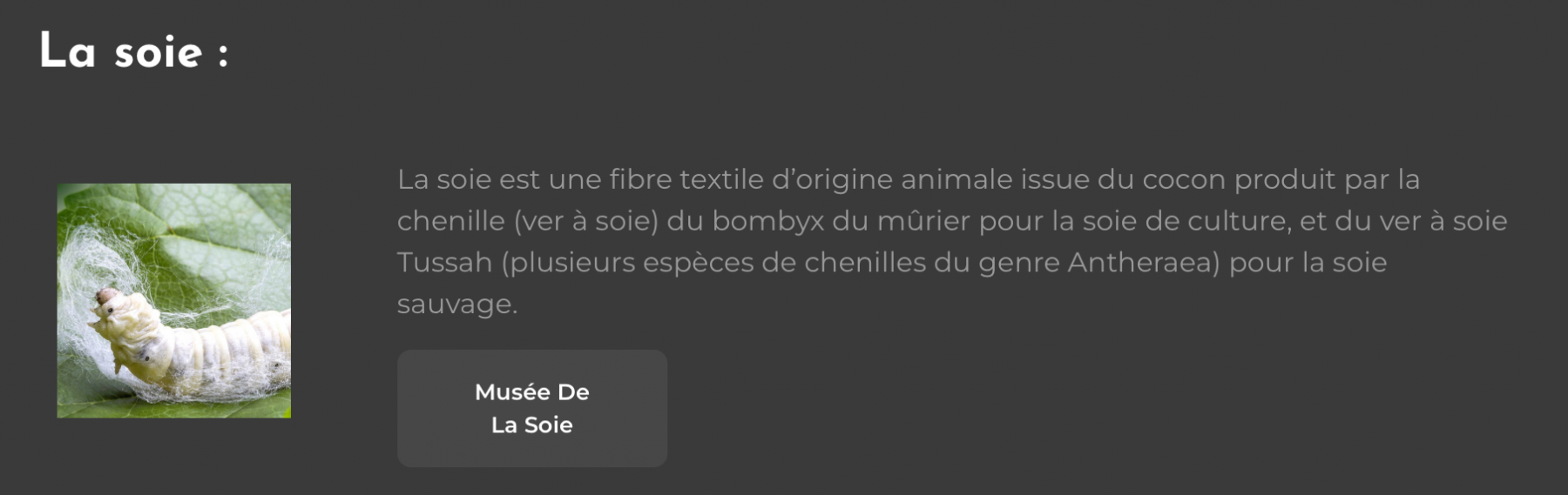 7 la soie.png