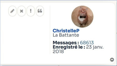 Sans titre.jpg