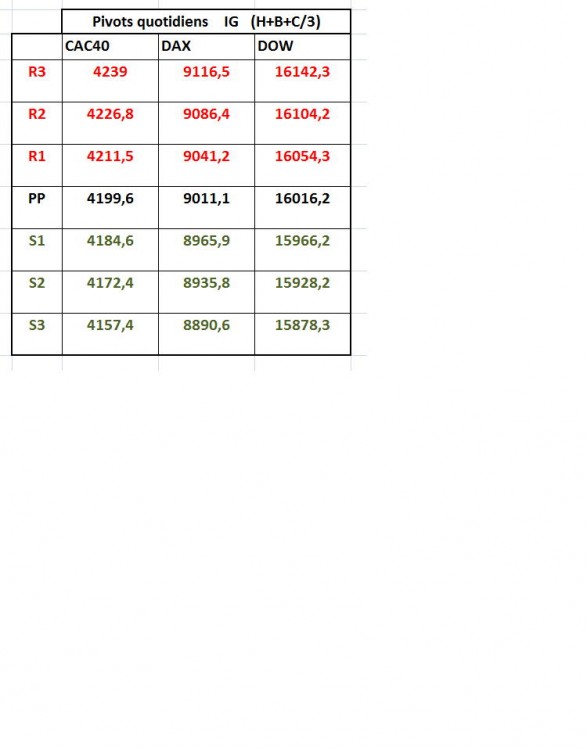 Pivots 17 mars 2014 bis.jpg