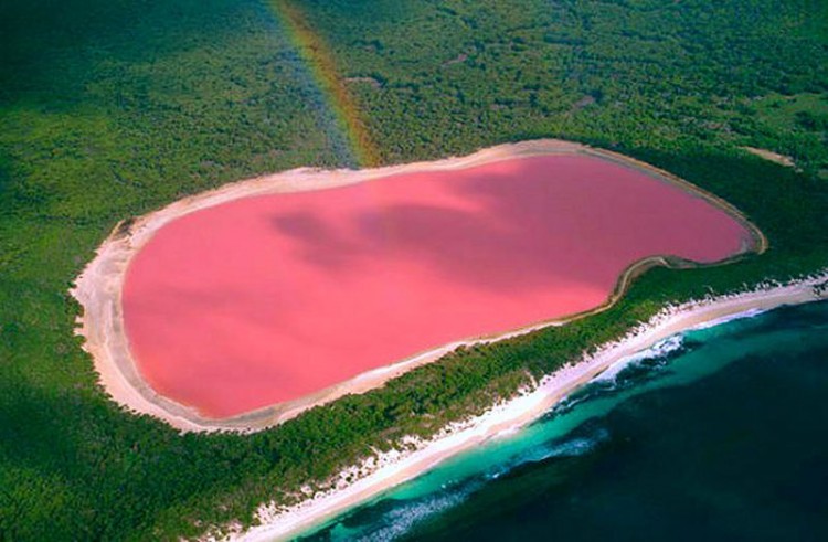 Lac-rose-australie.jpg