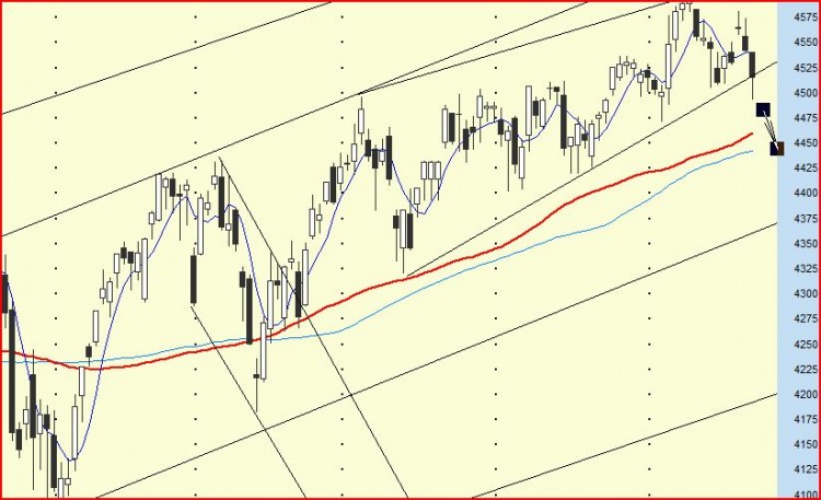 Cac401.JPG