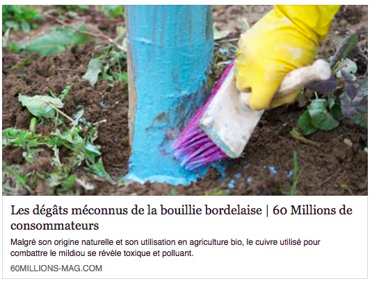 Par quoi remplacer la bouillie bordelaise ?