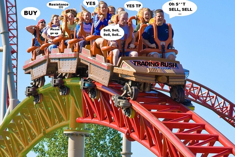 The RollerCoaster.jpg