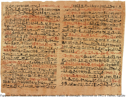2 - papyrus.jpg