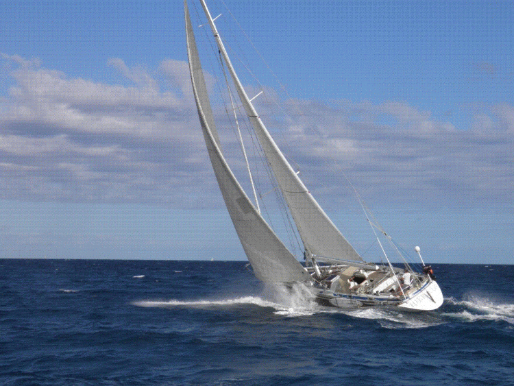 photo boat gif.GIF