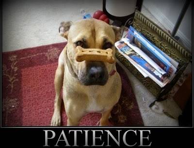 patience et trading