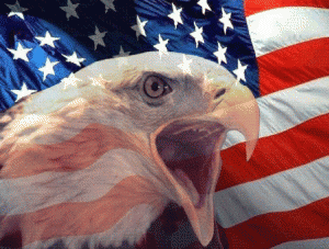 US-FLAG