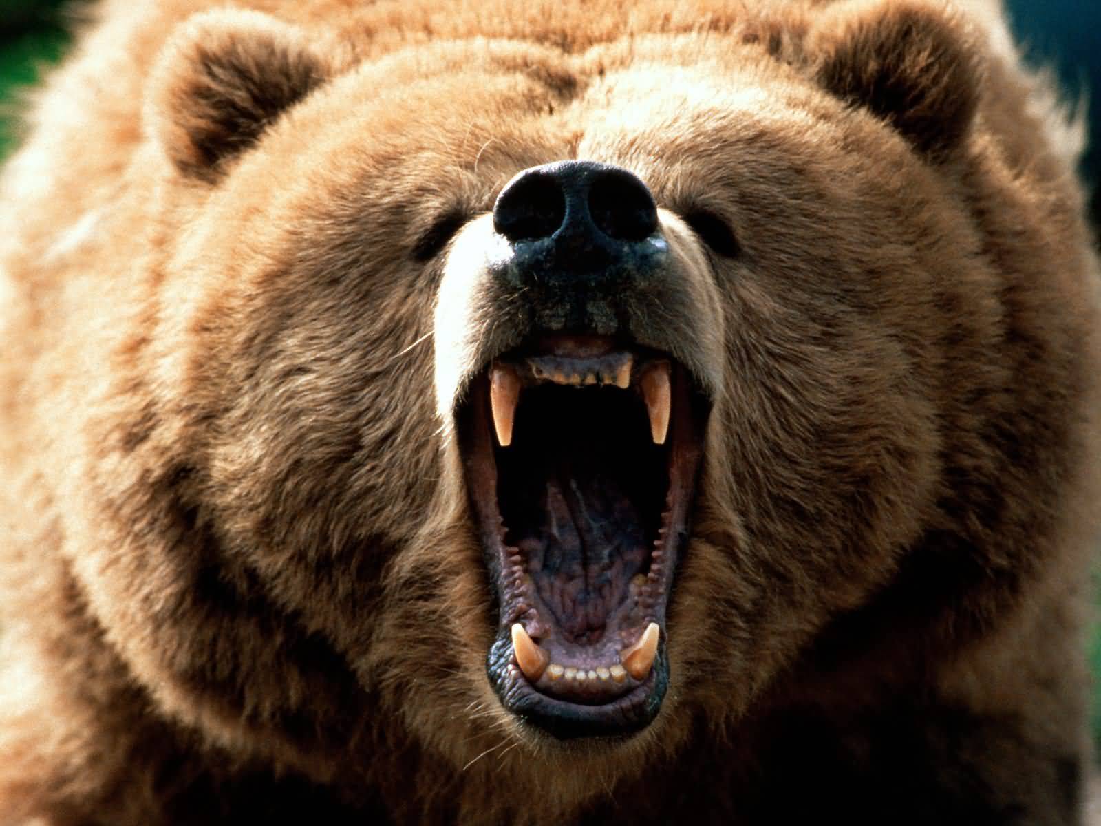 Short covering : définition et technique de trading