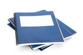 Rapport annuel
