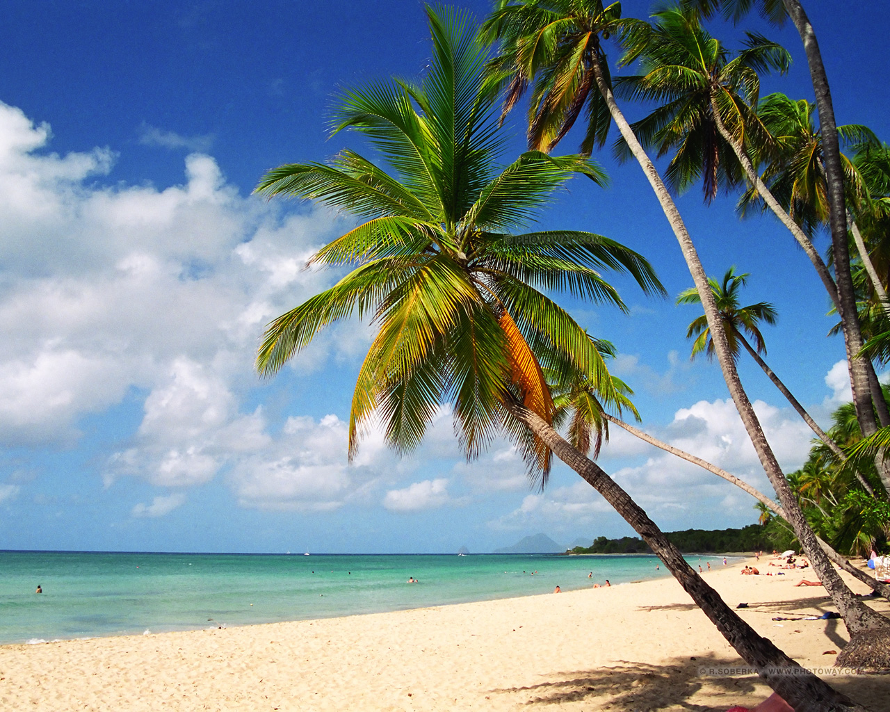 investissement immobilier dom tom