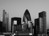 L'importance économique du forex