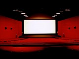 Souscriptions en faveur du cinéma ou de l'audiovisuel (SOFICA) 