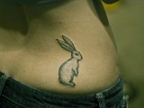 Follow the White Rabbit